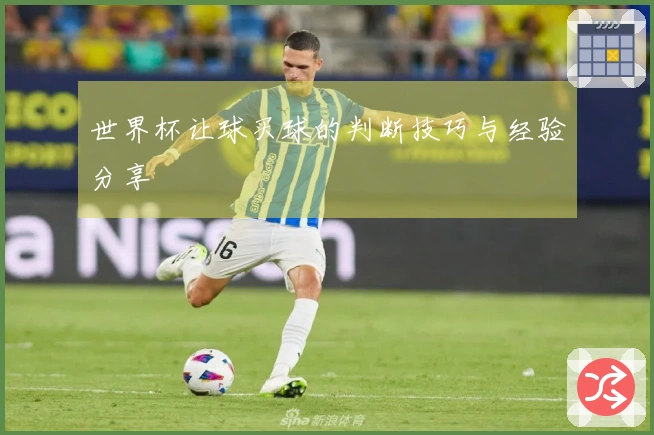 世界杯让球买球的判断技巧与经验分享